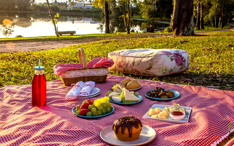 Picnic no lago durante o por-do-sol