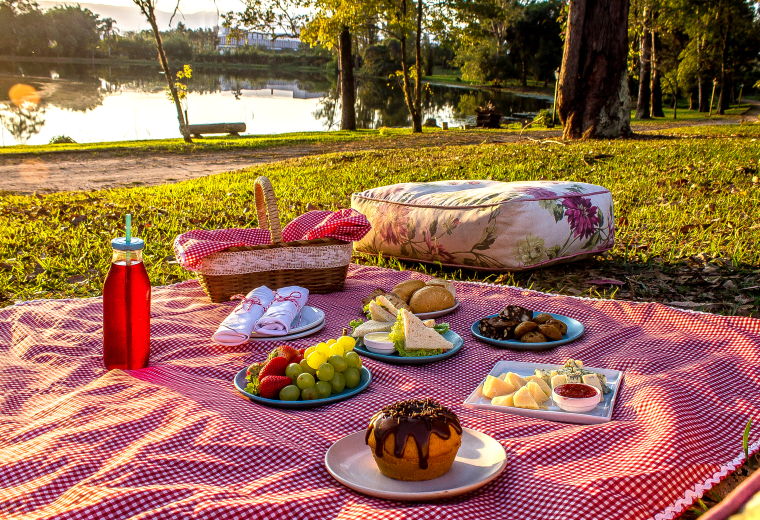 Picnic no lago durante o por-do-sol